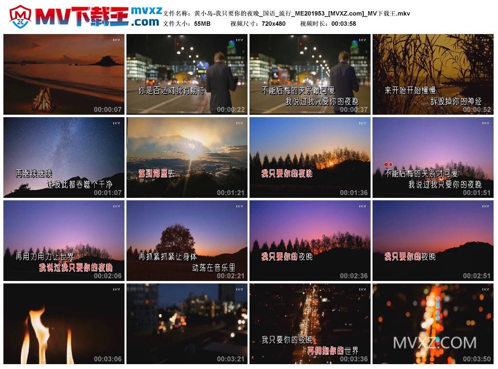 黄小岛-我只要你的夜晚_国语_流行_ME201953